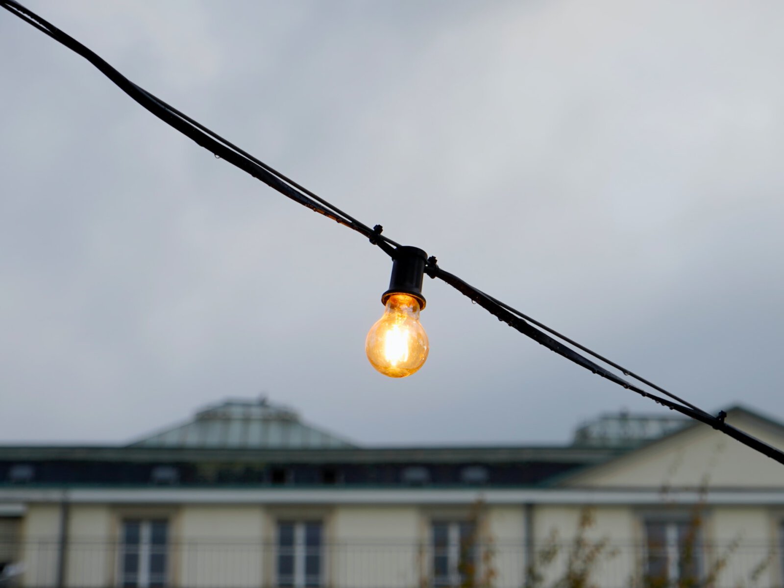 Meizhi-lang-zfkggg2vubq-unsplash